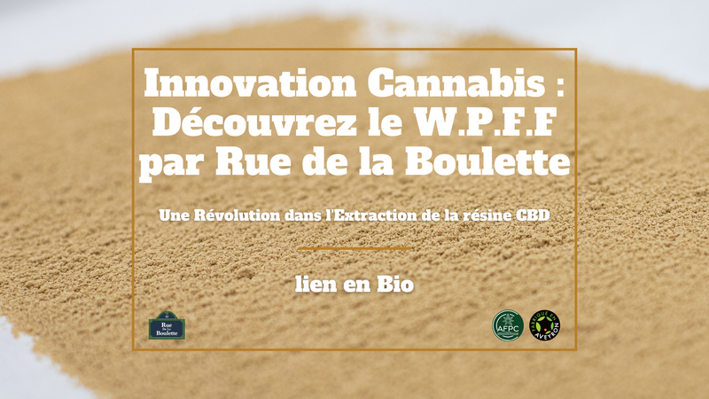 Innovation Cannabis : Découvrez le W.P.F.F par Rue de la Boulette - Une Révolution dans l'Extraction de la résine CBD