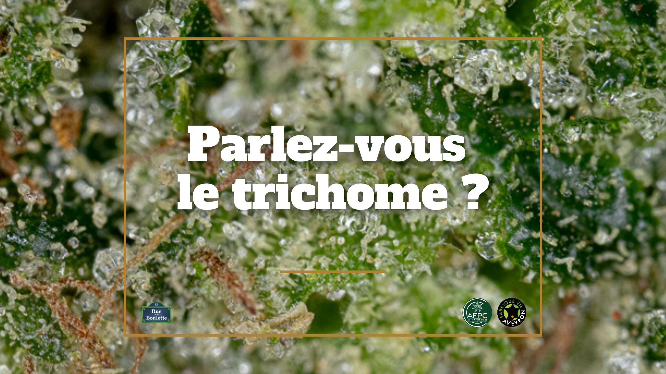 Do you speak trichome?