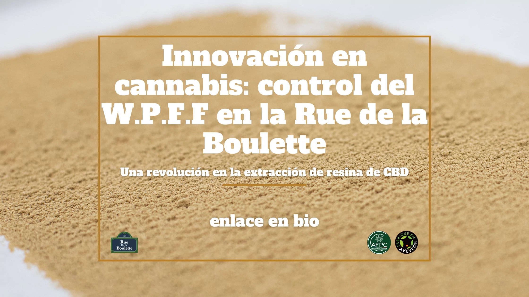 Innovación en cannabis: descubra W.P.F.F de Rue de la Boulette: una revolución en la extracción de resina de CBD