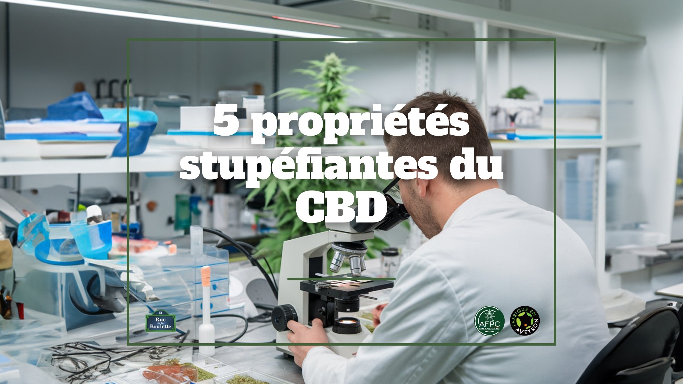 5 propriétés stupéfiantes du CBD