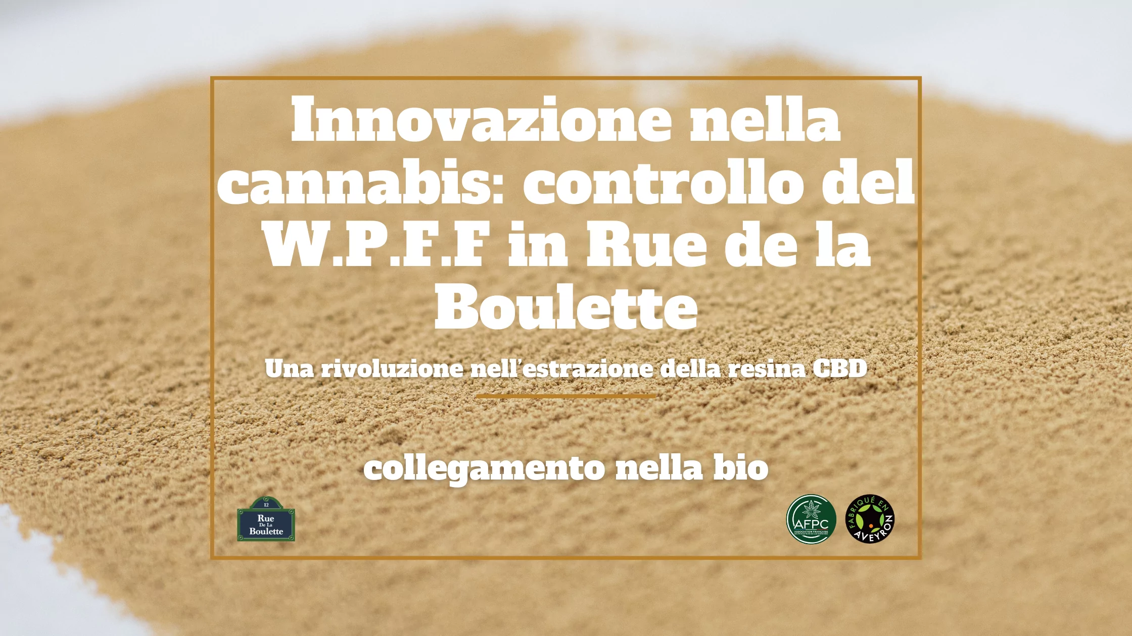 Innovazione nella cannabis: Scopri W.P.F.F di Rue de la Boulette - Una rivoluzione nell'estrazione della resina CBD