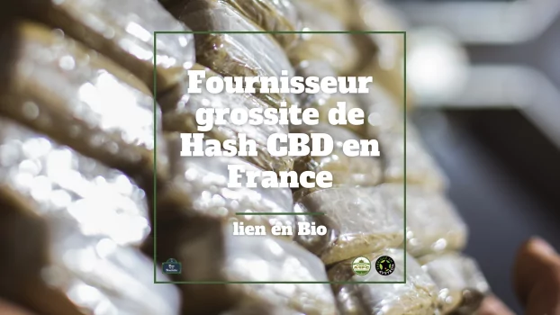 Großhandelsanbieter von Hash CBD in Frankreich