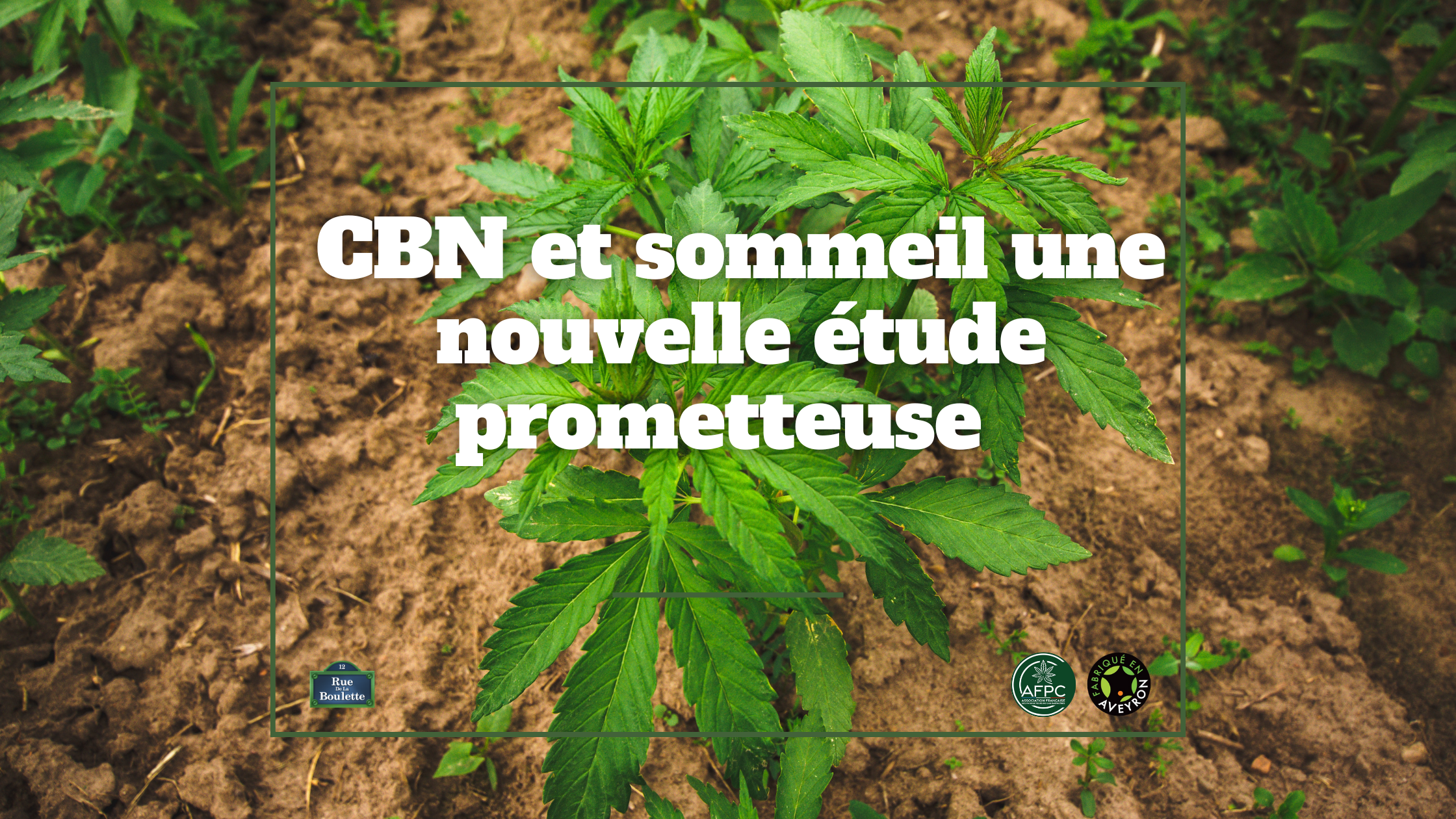 CBN et sommeil une nouvelle étude prometteuse  