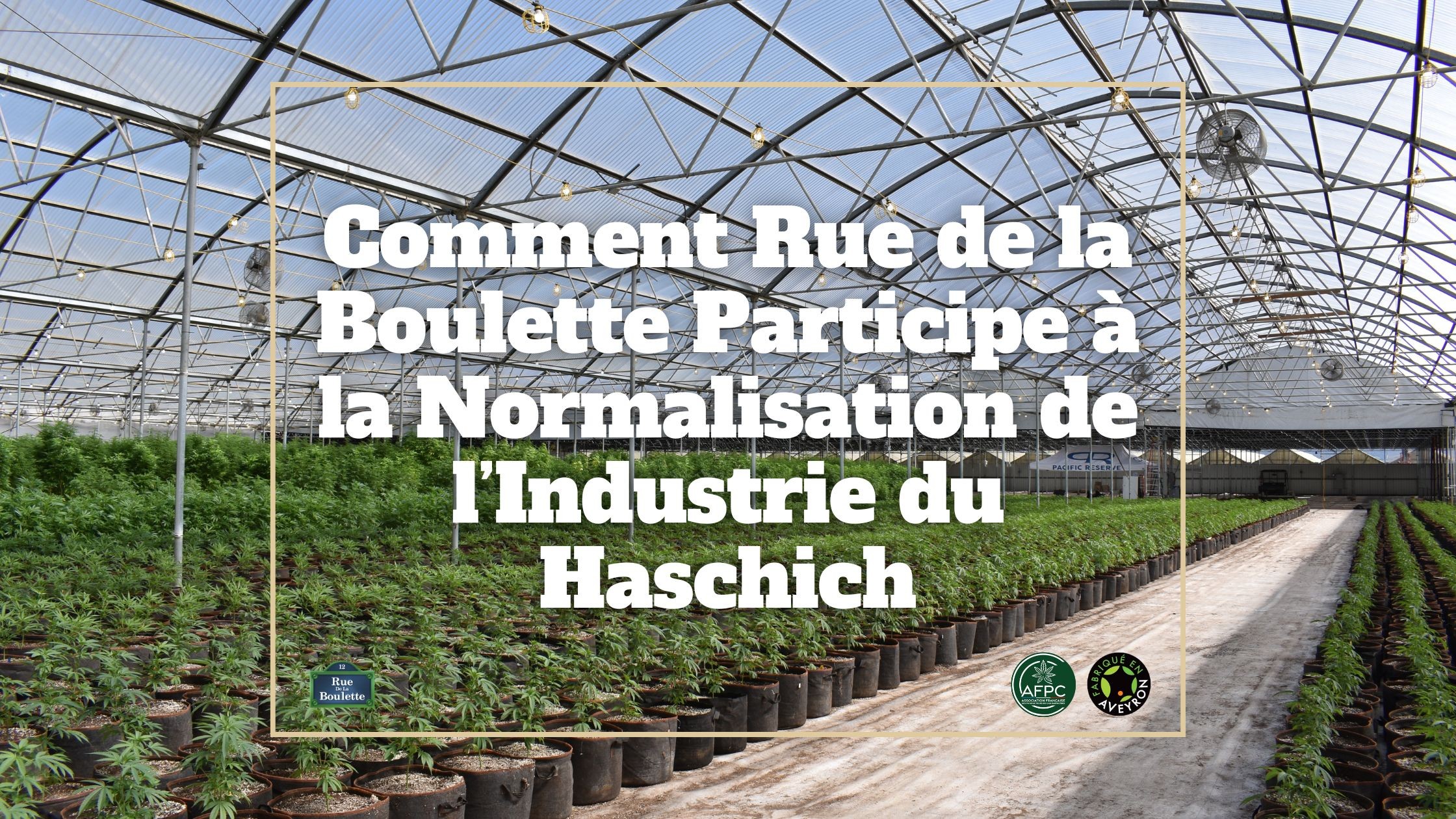 Comment Rue de la Boulette Participe à la Normalisation de l’Industrie du Haschich