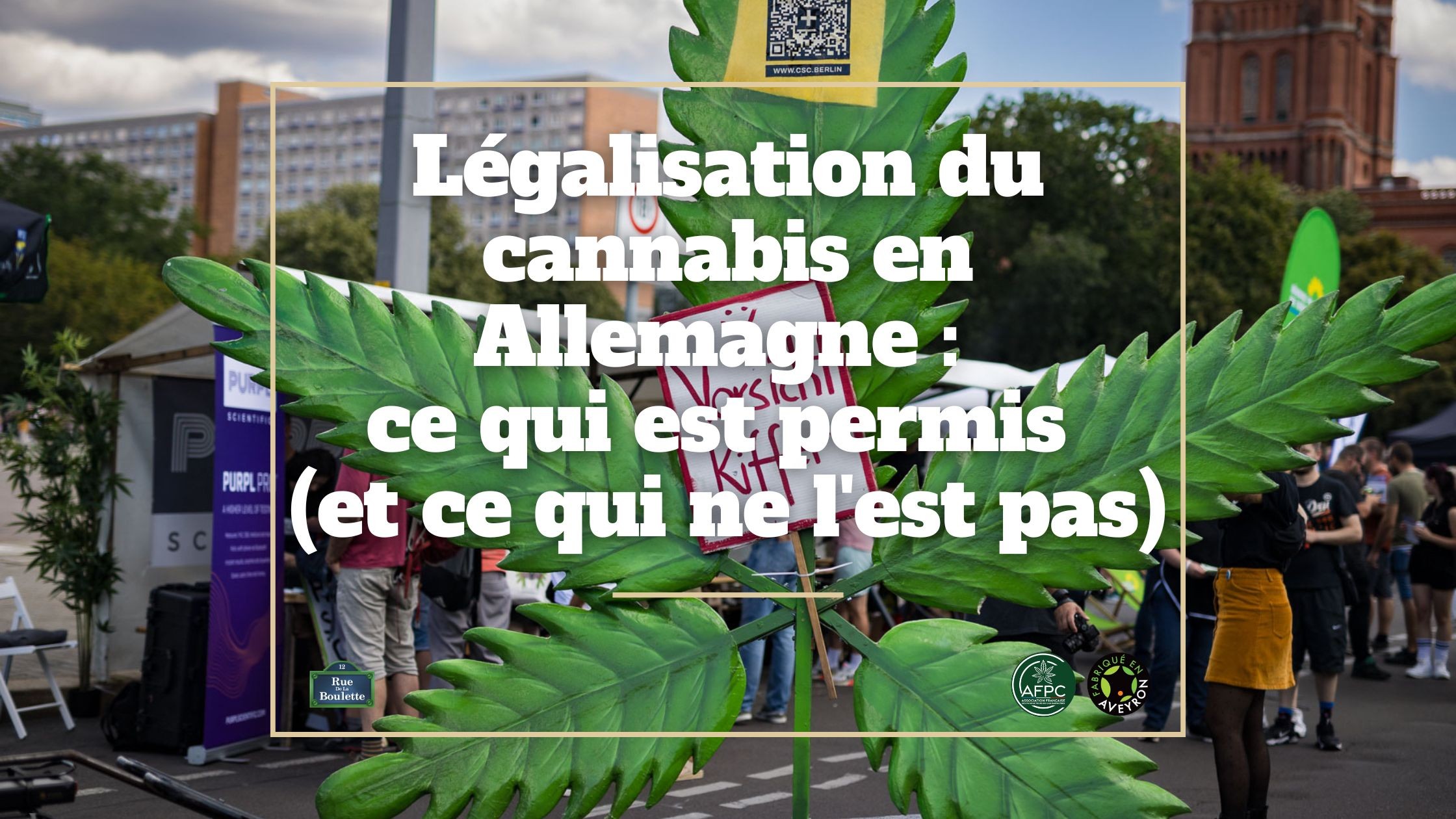 Legalizzazione della cannabis in Germania: cosa è consentito (e cosa no)