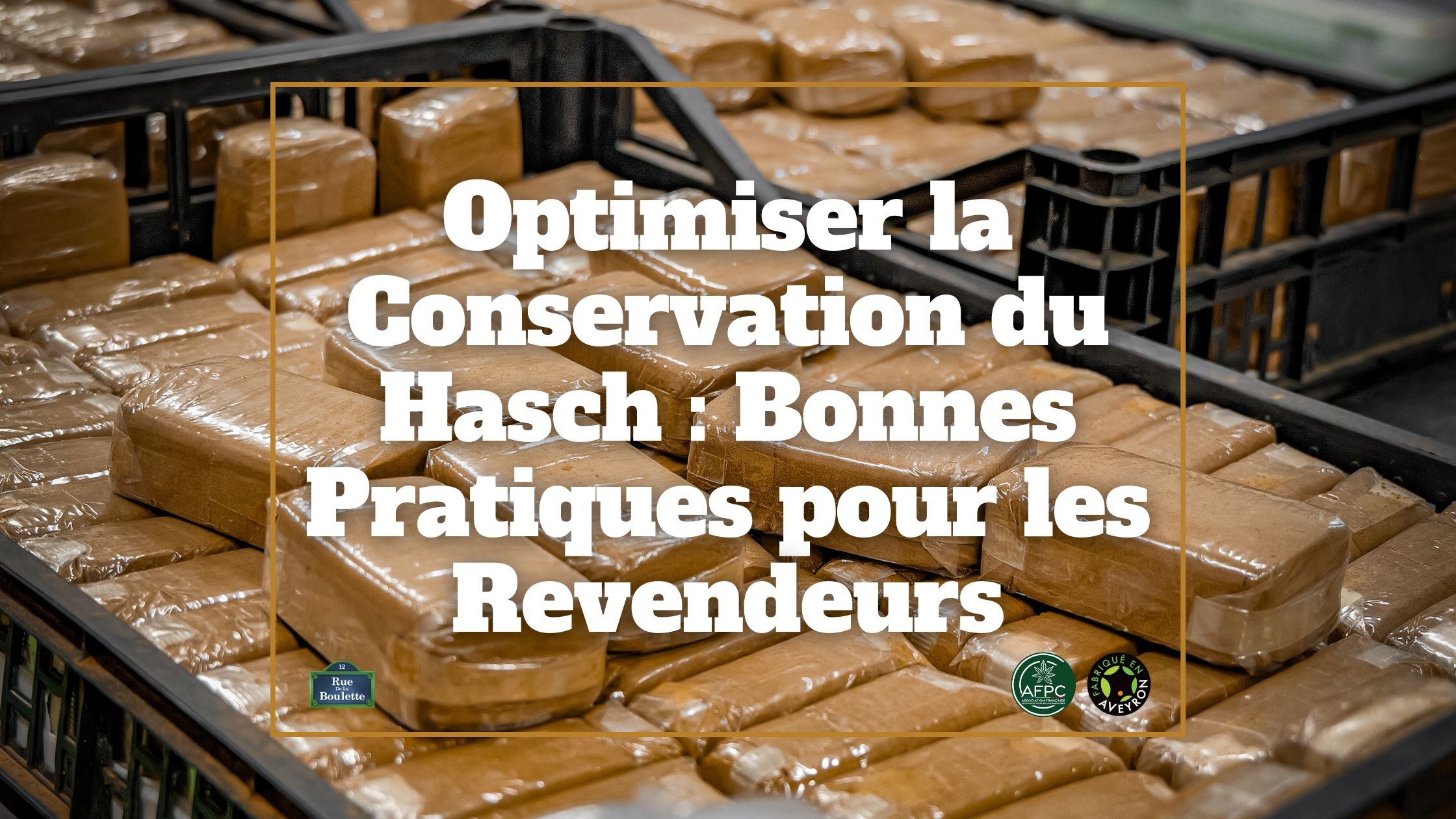 Optimiser la Conservation du Hasch : Bonnes Pratiques pour les Revendeurs