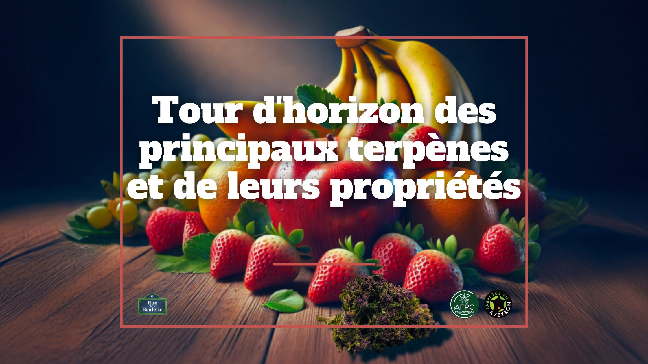 Tour d’horizon des principaux terpènes et de leurs propriétés : une plongée au cœur des arômes du chanvre